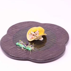 041 - Takito-surimi